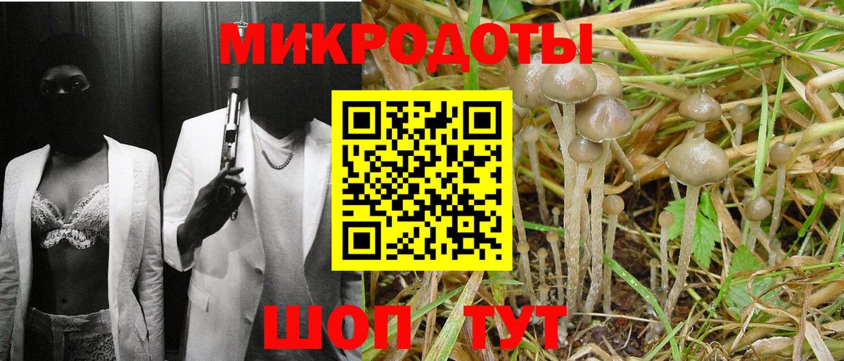 Галлюциногенные грибы GOLDEN TEACHER  Вход с VPN  Новороссийск  Галлюциногенные грибы мицелий 